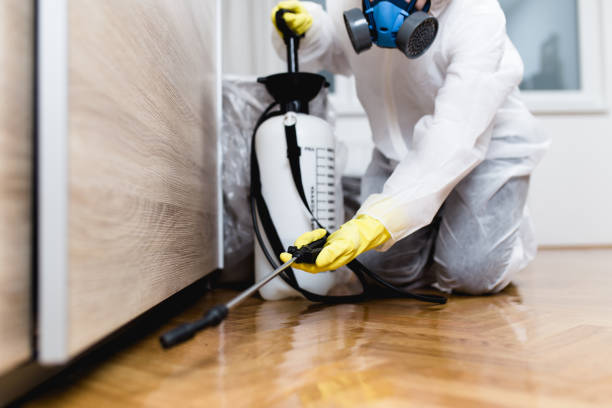 Best Commercial Pest Control Services  in Tutwiler, MS