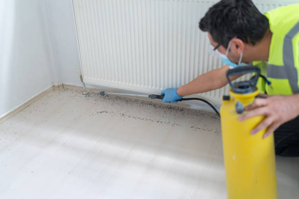 Best Pest Removal Services  in Tutwiler, MS